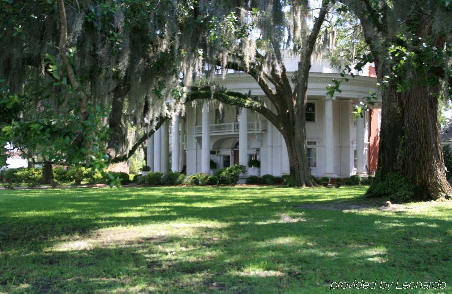 Hilton Garden Inn Valdosta Bekvemmeligheter bilde